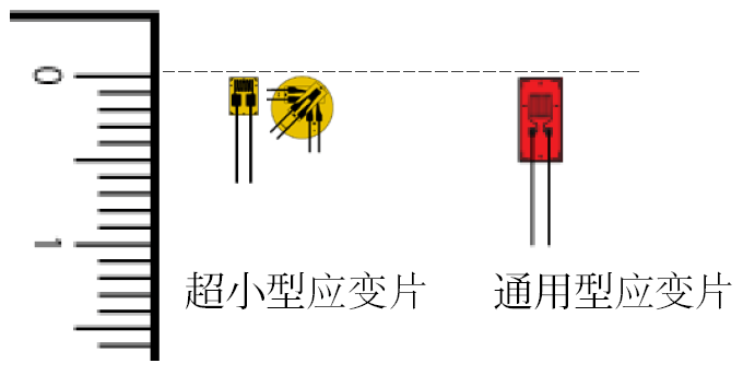 开云kaiyun电竞·(中国区)官方网站