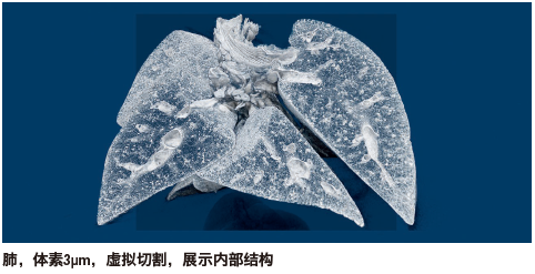 开云kaiyun电竞·(中国区)官方网站