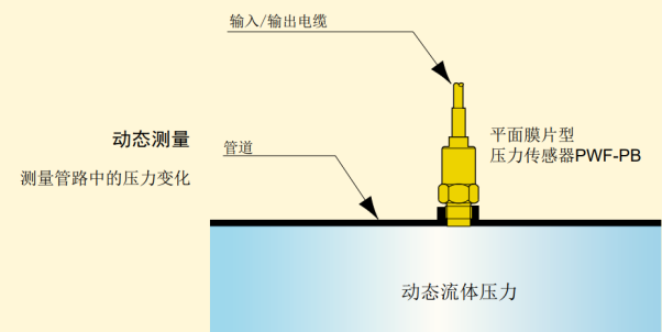 开云kaiyun电竞·(中国区)官方网站