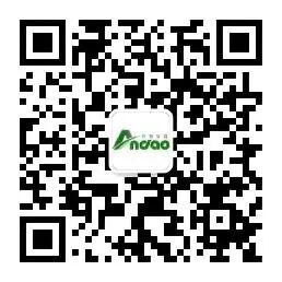 177855168938674